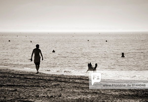 Frankreich  Mann  Fröhlichkeit  gehen  Küste  Hund  jung  Calvados  Atlantischer Ozean  Atlantik  Normandie  Sandstrand