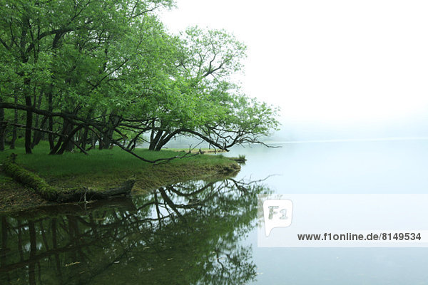 Lakeside with fog Tochigi Prefecture