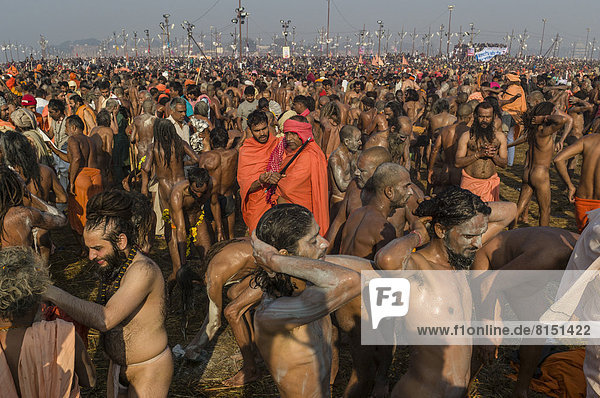 Masse von nackten Naga Sadhus  heilige Männer  beim Bad  Shahi Snan  königliches Bad  während des Kumbha Mela Festivals