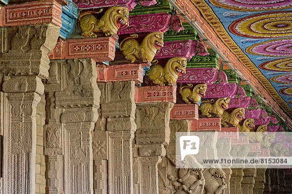 Hall with brightly painted pillars  mythical creatures  Meenakshi Amman Temple or Sri Meenakshi Sundareswarar Temple