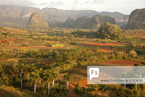 Landscape with Karst mountains and the cultivation of tobacco