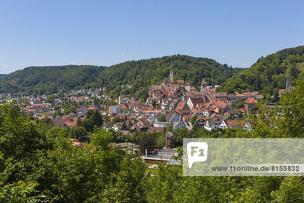Germany  Baden Wuerttemberg  View of Horb am Neckar at Black Forest