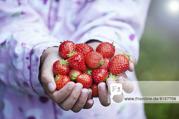 Deutschland  Nordrhein-Westfalen  Köln  Mädchen hält Erdbeeren in Händen  Nahaufnahme