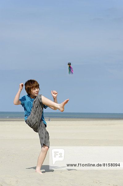 Frankreich  Junge spielt mit Indica am Strand