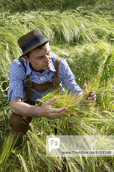 Germany  Bavaria  Farmer harvesting in field