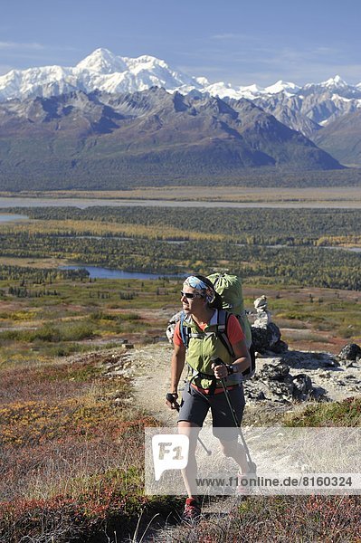 folgen  Rucksackurlaub  wandern  Denali Nationalpark  Kesugi Ridge  Alaska