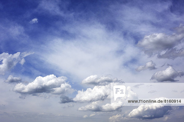Schäfchenwolken und Federwolken  Cirruscumulus