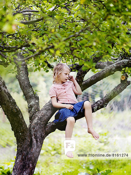 Girl sitting on tree