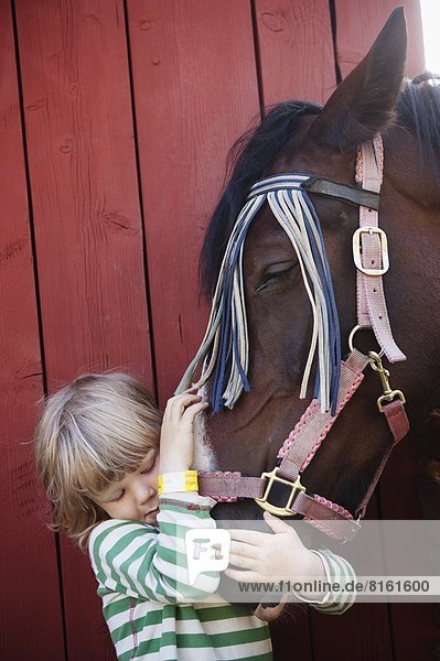 Boy hugging horse