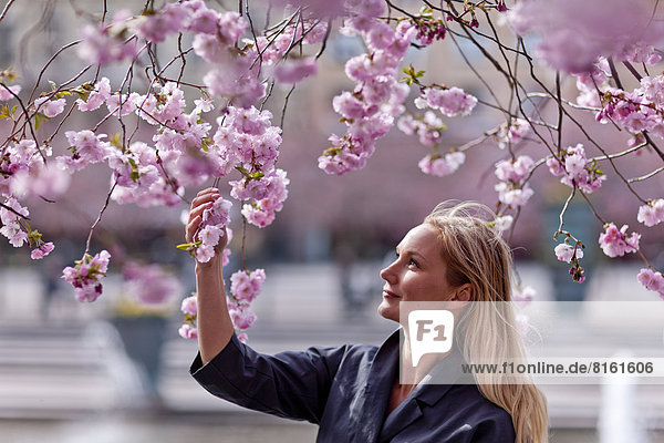 Woman looking at cherry blossom tree