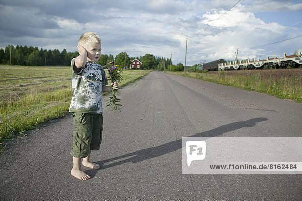 Blumenstrauß  Strauß  Junge - Person  halten  Fernverkehrsstraße  Wildblume
