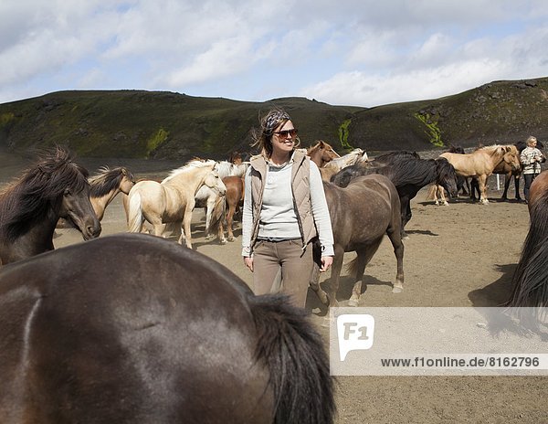 Woman and herd of Icelandic horses