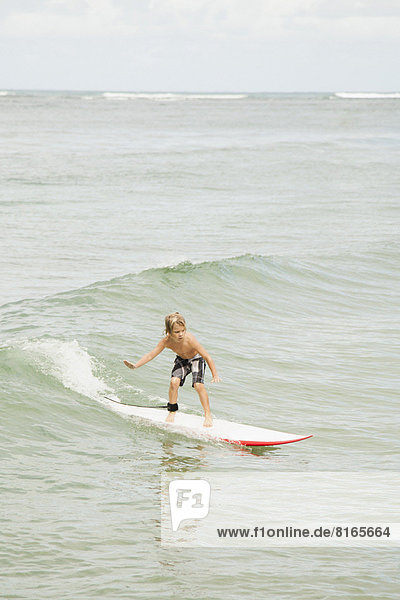 Junge - Person  5-9 Jahre  5 bis 9 Jahre  Wellenreiten  surfen
