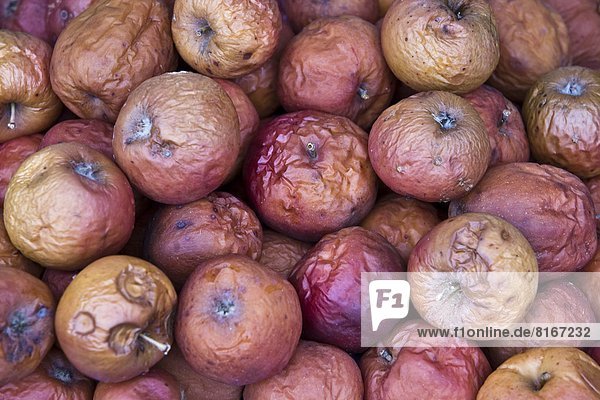 Faule Äpfel