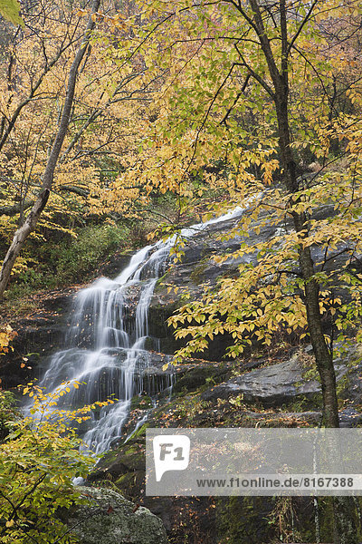 Landschaftlich schön landschaftlich reizvoll Wald Wasserfall Ansicht