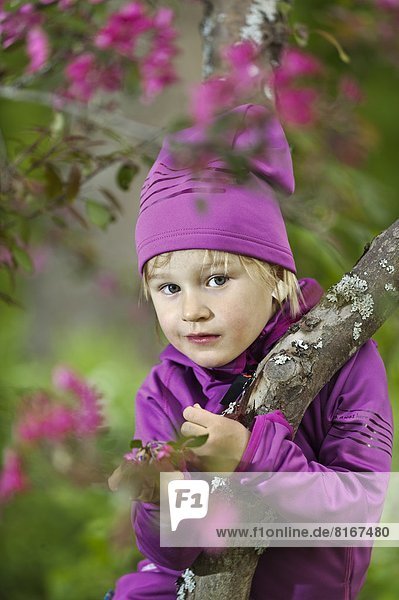 Girl picking purple flowers