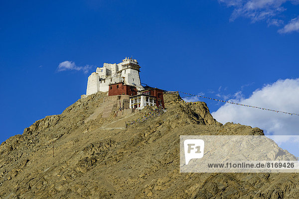 Kloster Namgyal Tsemo Gompa auf einem Hügel