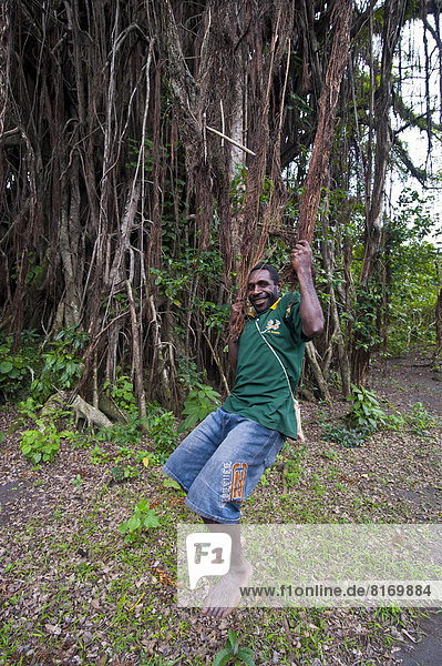 Ein einheimischer Mann schaukelt in den Wurzeln eines riesigen Banyan-Baumes oder Banyan-Feige (Ficus sp.)