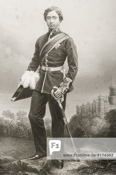 Portrait Fotografie Buch Zukunft Zimmer britisch Galerie Zeichnung groß großes großer große großen König - Monarchie Taschenbuch 2 Irland Tierheim