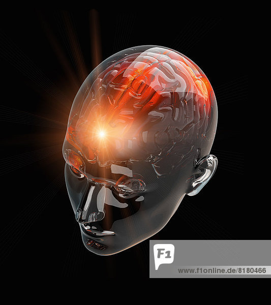 Beleuchtete Aktivität in menschlichem Gehirn in durchsichtigem Kopf