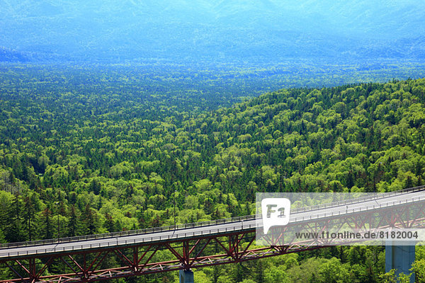 Matsumi bridge and trees  Hokkaido