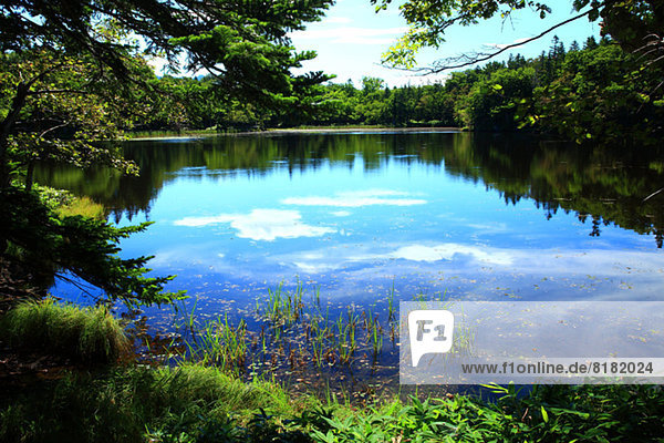 Shiretoko five lakes  Hokkaido