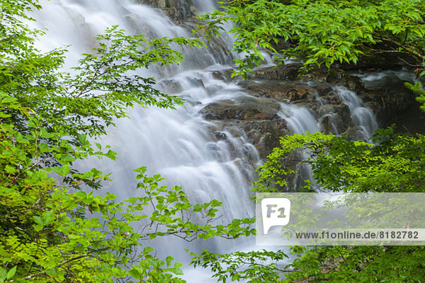 Shakunage waterfall  Gunma Prefecture
