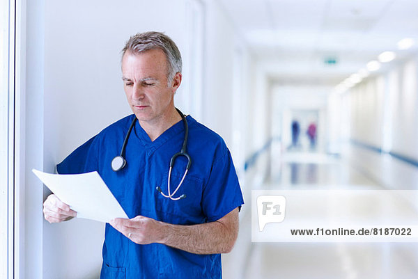 Doctor standing in corridor reading medical records