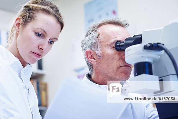 Mann schaut durchs Mikroskop  Frau sieht sich Papierkram an