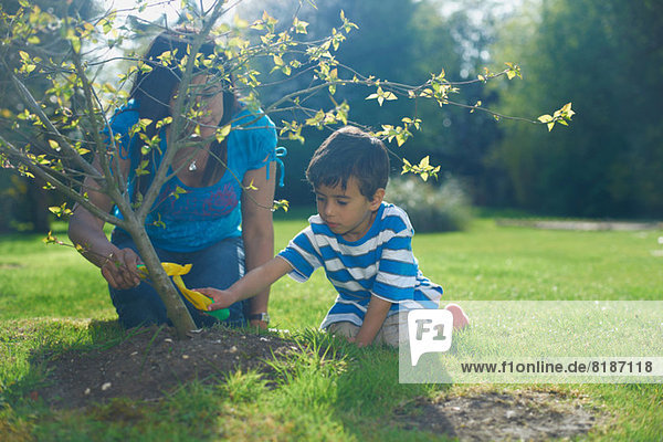 Mutter und Sohn pflanzen Baum im Garten