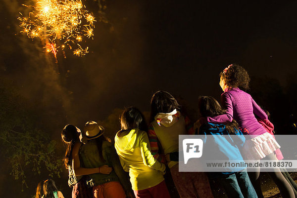 Group of people watching firework display
