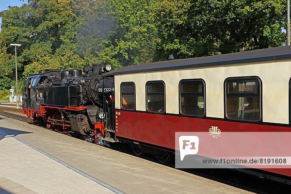 Dampflokomotive  Bad Doberan  Mecklenburg-Vorpommern  Deutschland  Europa