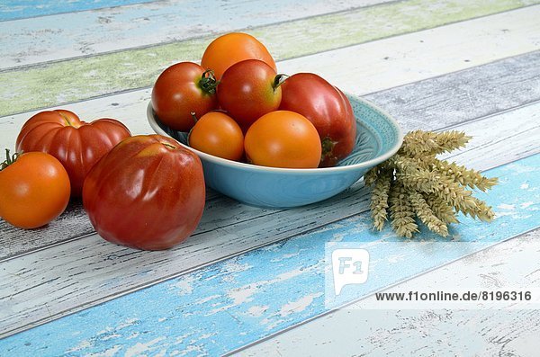 Tomatoes in a bowl  Brandenburg  Germany  Europe