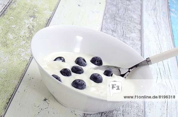 Joghurt with blueberries in a bowl  Brandenburg  Germany  Europe