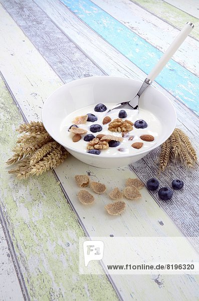 Joghurt with blueberries in a bowl  Brandenburg  Germany  Europe