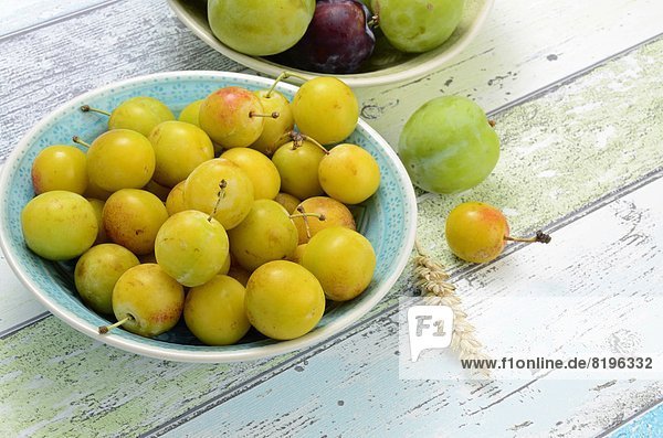 Plums and mirabelle Plums in a bowl  Brandenburg  Germany  Europe