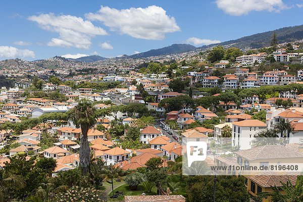 Portugal  Funchal  Ansicht der Häuser auf Madeira