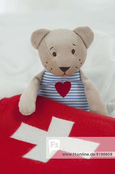Deutschland  Bayern  Teddybär mit Wärmflasche auf dem Bett