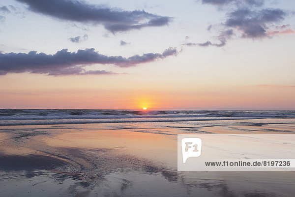 Neuseeland  Blick auf Piha Beach bei Sonnenuntergang