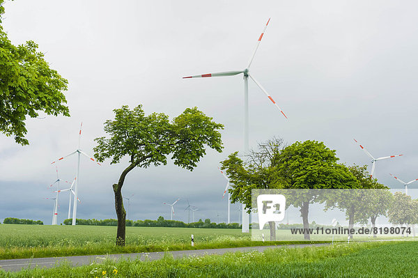 Deutschland  Mecklenburg-Vorpommern  Blick auf Windkraftanlage im Feld
