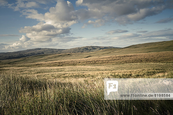 Schottland  Blick auf die Landschaft bei Loch Brittle