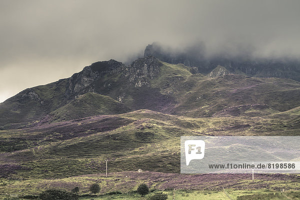 Schottland  Blick auf Rainy scottish hills mit Heidekraut