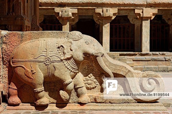 Stufe  Stein  Elefant  Indien