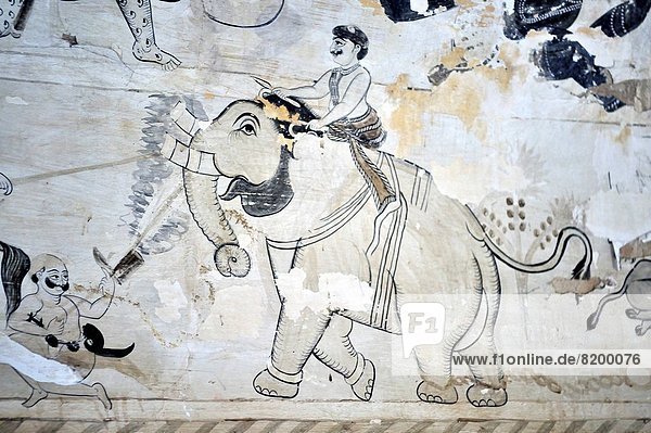 Wand  fahren  Elefant  Indien
