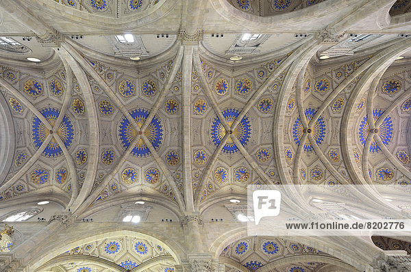 Innenaufnahme  Sterngewölbe im Langschiff  Kathedrale Comer Dom  Dom Santa Maria Maggiore