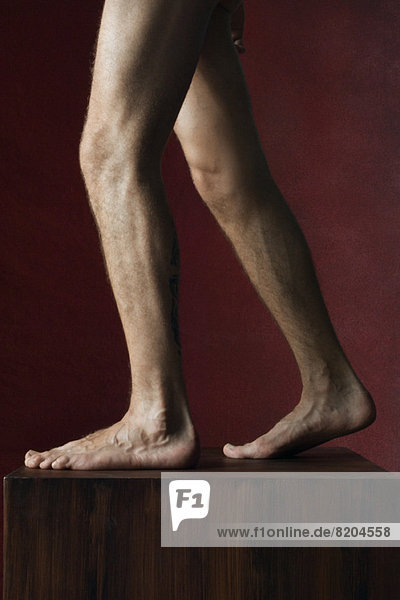 Kahle Beine auf Sockel  Seitenansicht