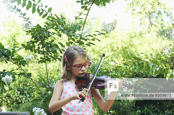 Außenaufnahme  Spiel  Hispanier  Mädchen  freie Natur  Geige