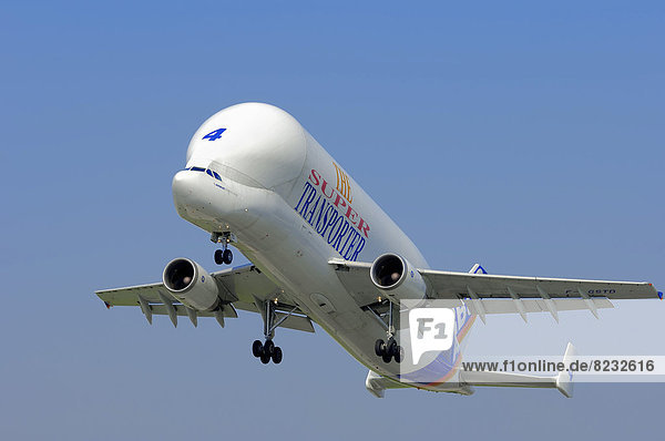 Airbus A300-600ST Super Transporter  Transportflugzeug  beim Start