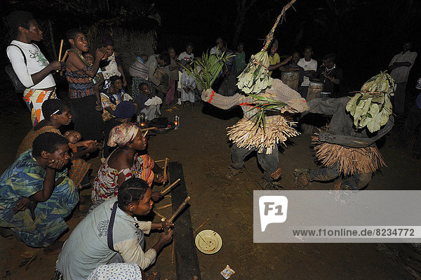 Pygmäen vom Volk der Bakoula feiern mit Tanz und Gesang  bei Nacht