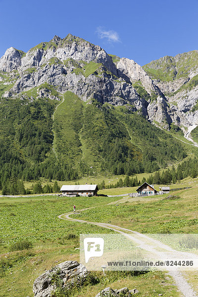 Ingridalm mountain pasture in Frohnbach Valley